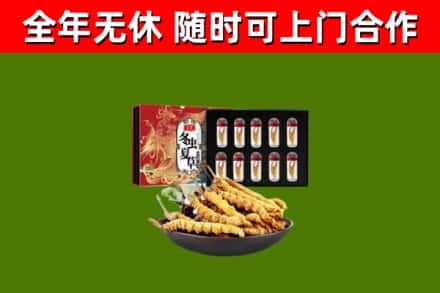 平泉回收冬虫夏草价格